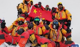 杀虫队队员爆料视频,揭秘虫害防治背后的惊险瞬间